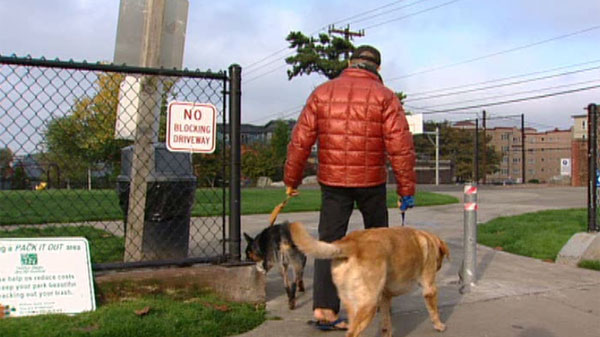 GeekWire: Photos showcase Amazon's new dog park | king5.com