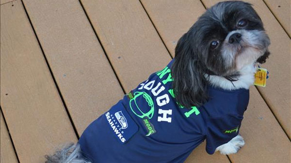 seahawks pet jersey