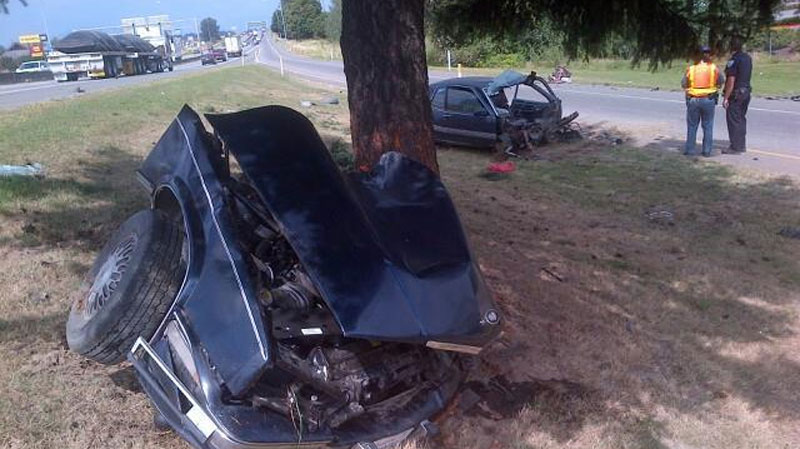 Car splits in half after hitting tree in Mount Vernon | king5.com