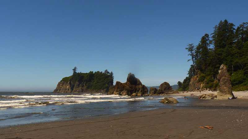 olympic national park drone