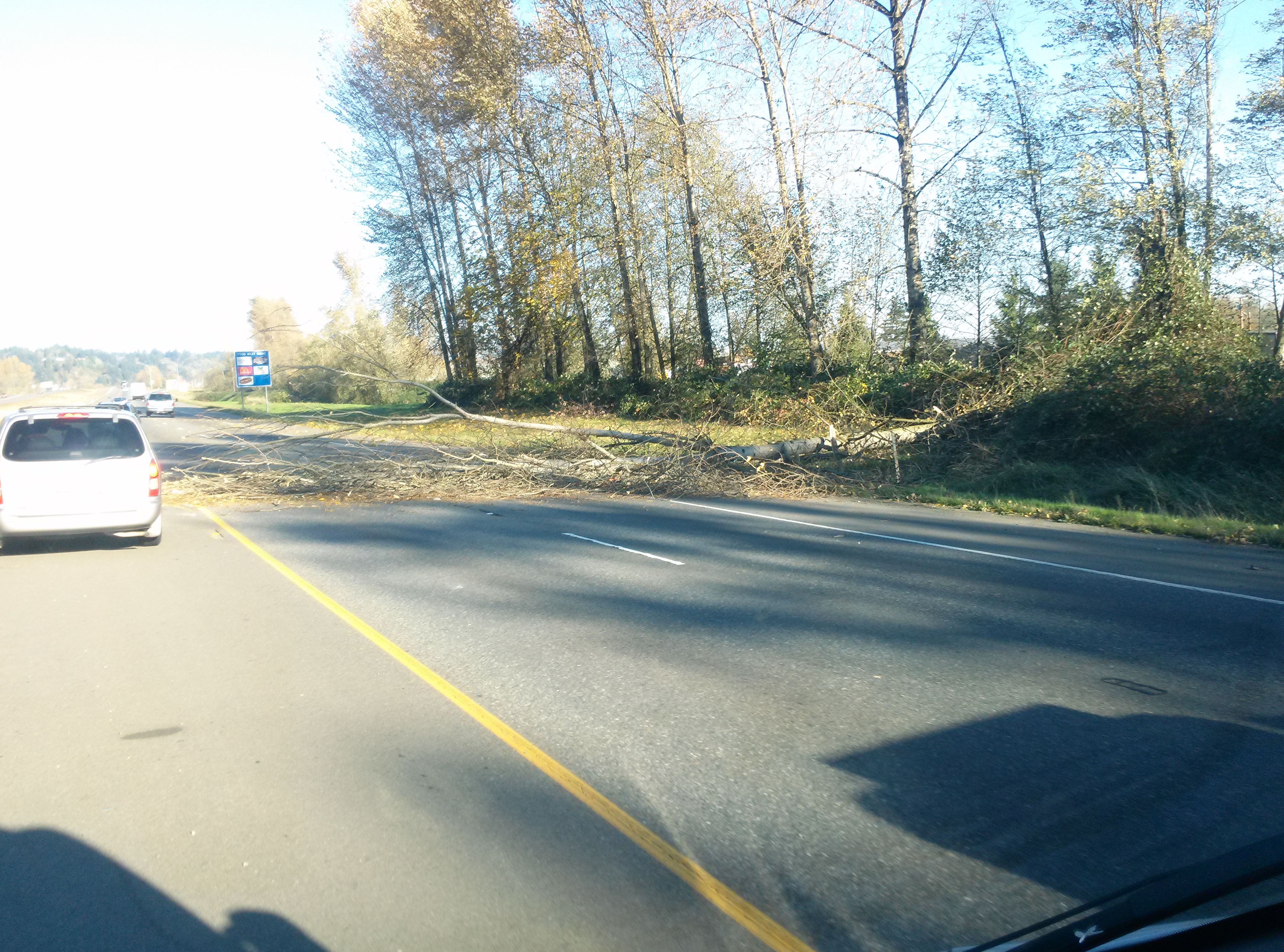 High winds knock out power to thousands in Western Wash. | king5.com