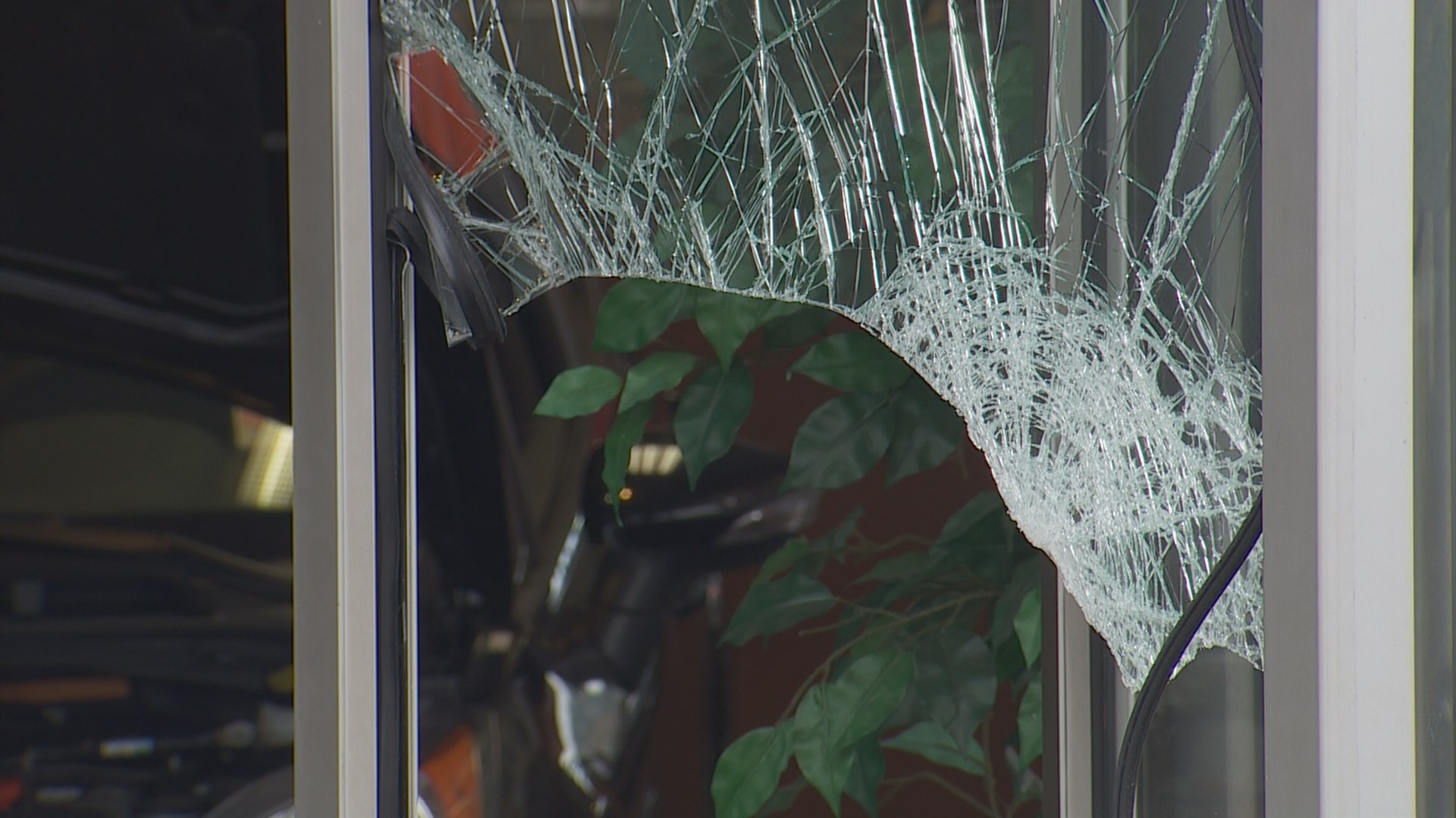 Police catch 9 teens breaking into car dealership