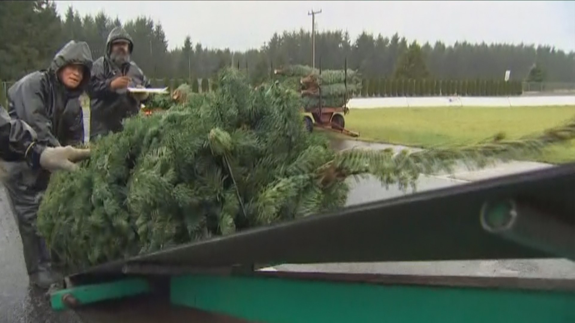 How to recycle your Christmas tree | king5.com