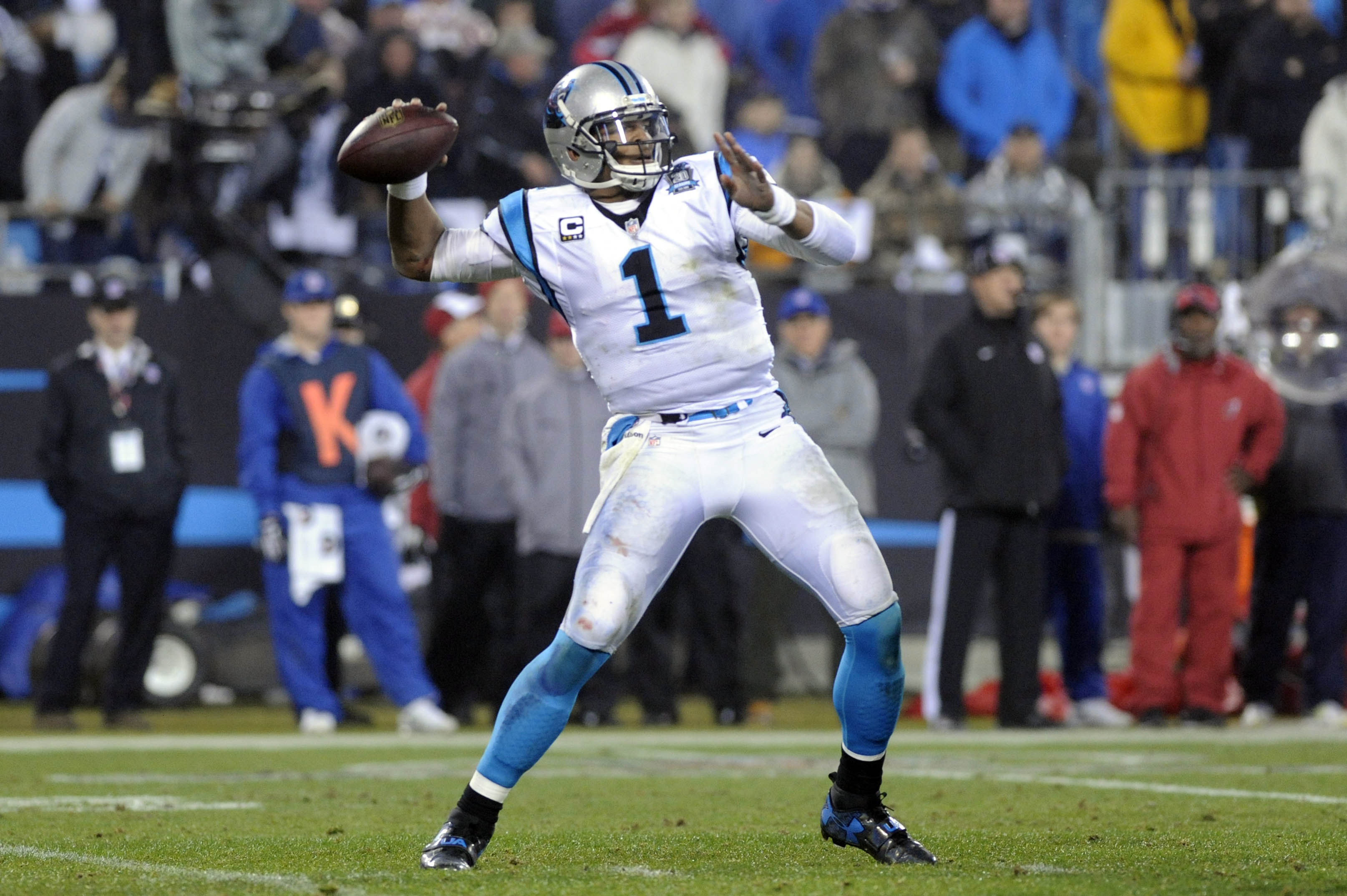 NFL: Carolina Panthers defeat Arizona Cardinals 27-16 in NFC wildcard  playoff game, NFL News