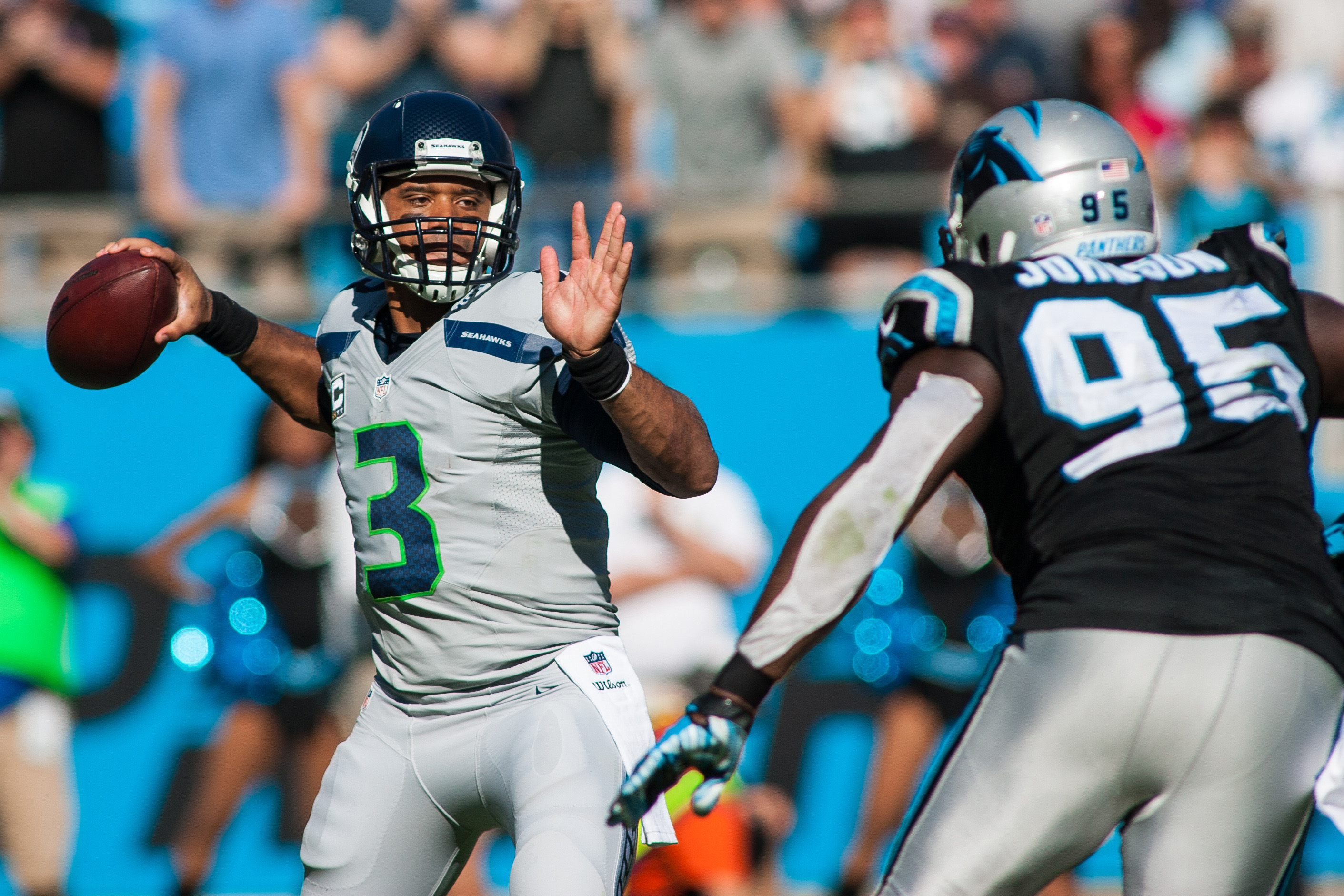 Carolina Panthers defensive end Charles Johnson (95) watches