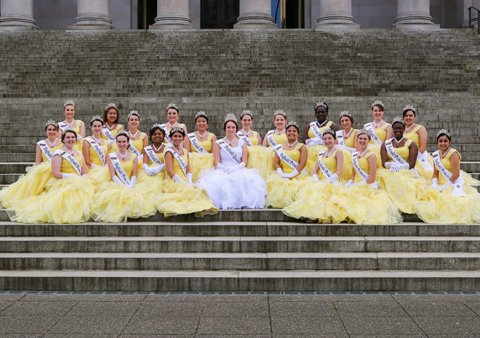 Daffodil Court brightens up New Day
