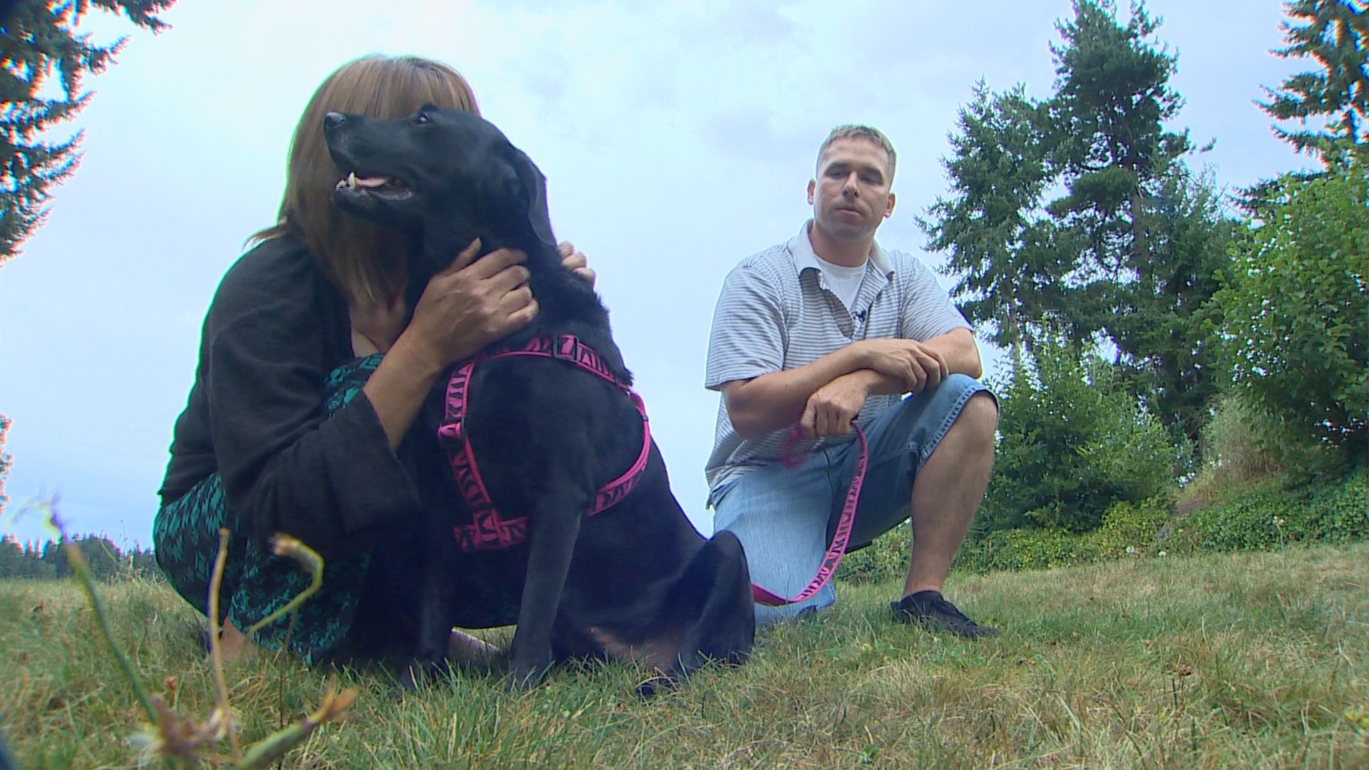 Lost dog reunited with family after Motel 6 explosion | king5.com