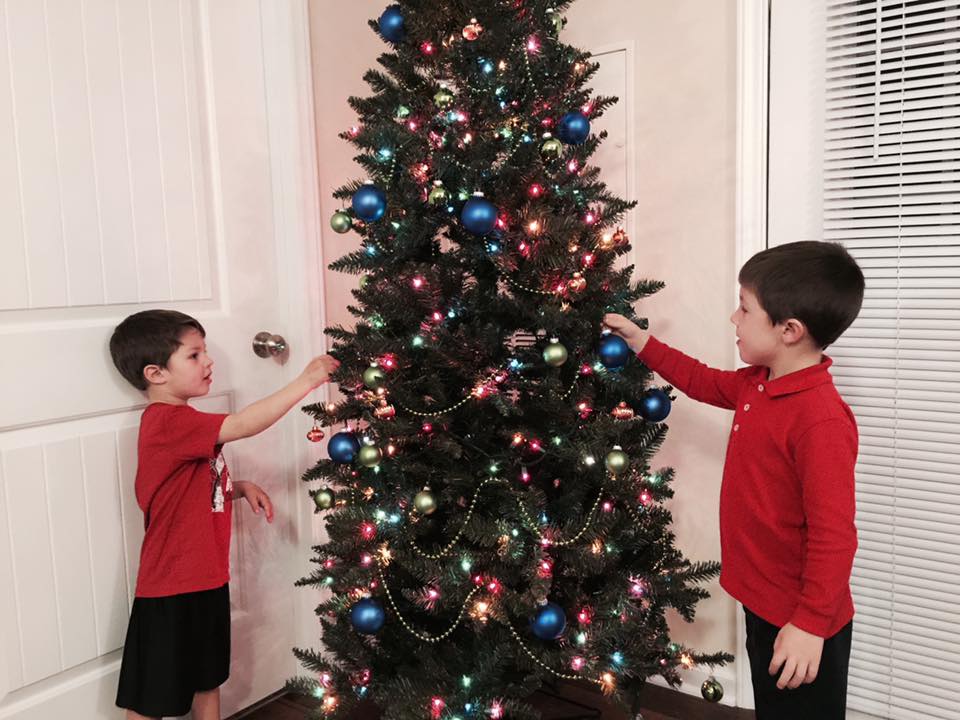 Top 10 myths Real vs. fake Christmas tree