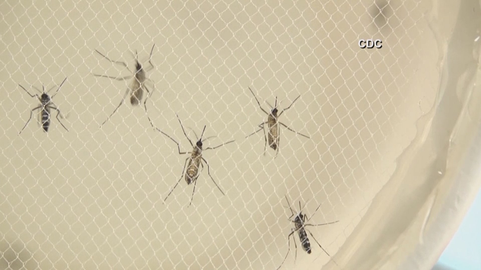 West Nile virus detected in Grant County, Washington: HealthLink