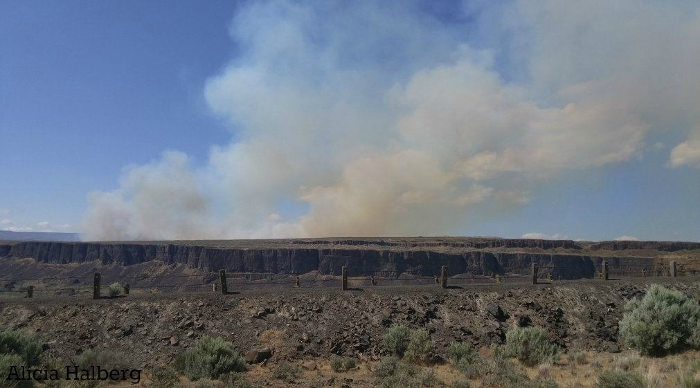 Wildfire near Amphitheatre ruled accidental