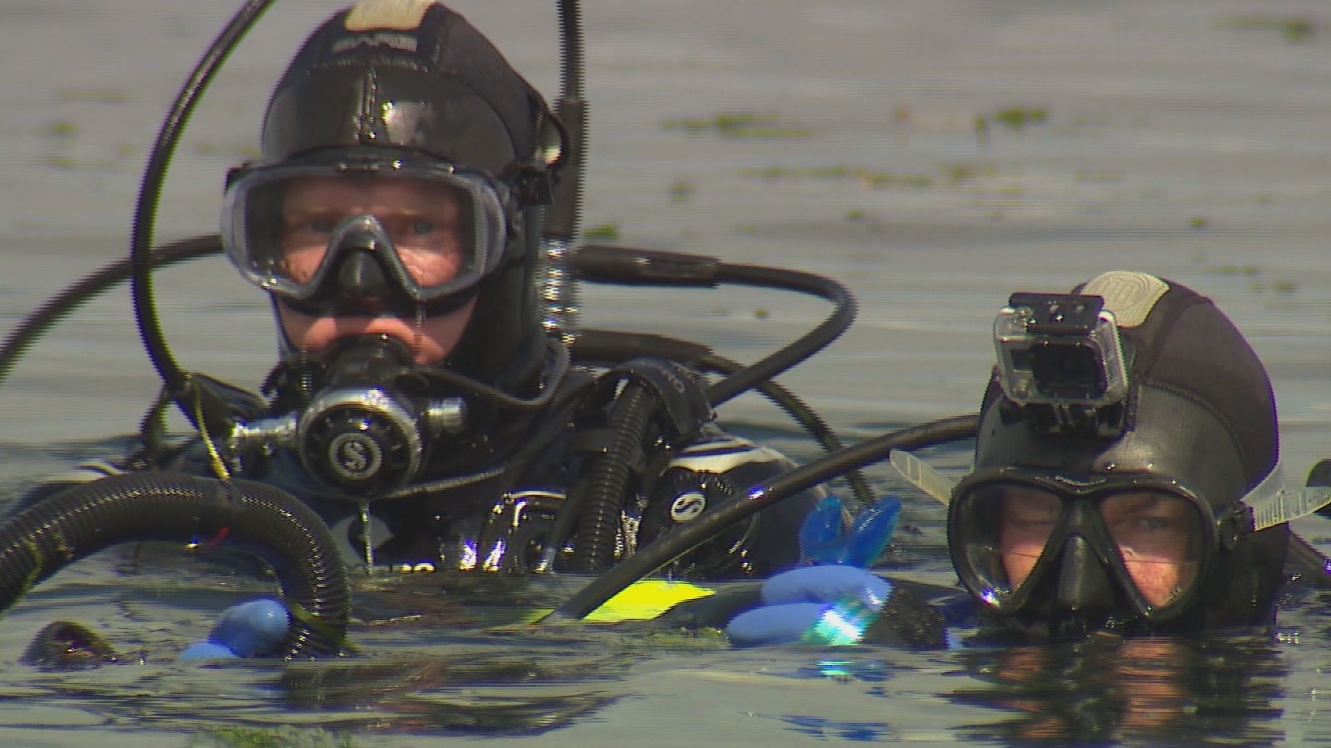 How One Man's Obsession Created the Edmonds Underwater Park