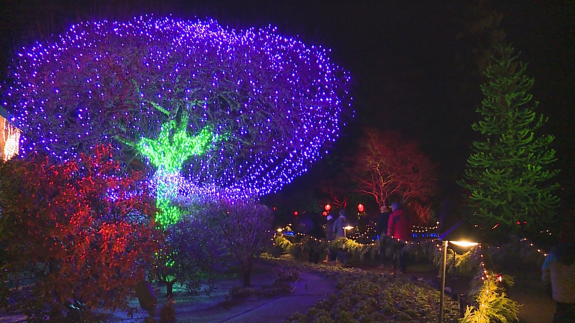 Victoria BC, Canada - December 15, 2019. Festive Christmas