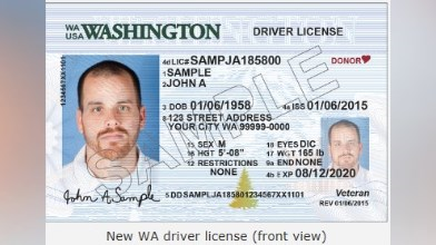 washington driver license check