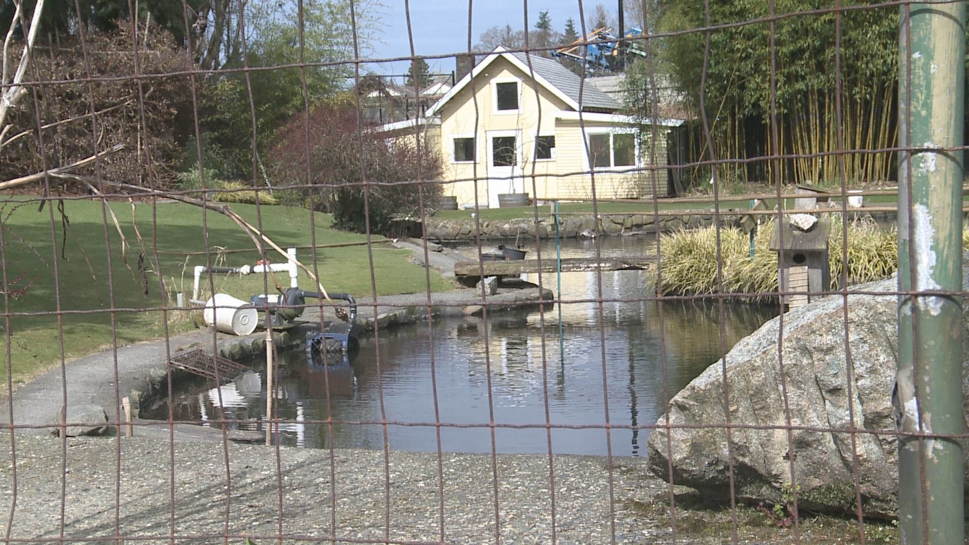 North Seattle neighbors rally to save historic duck pond