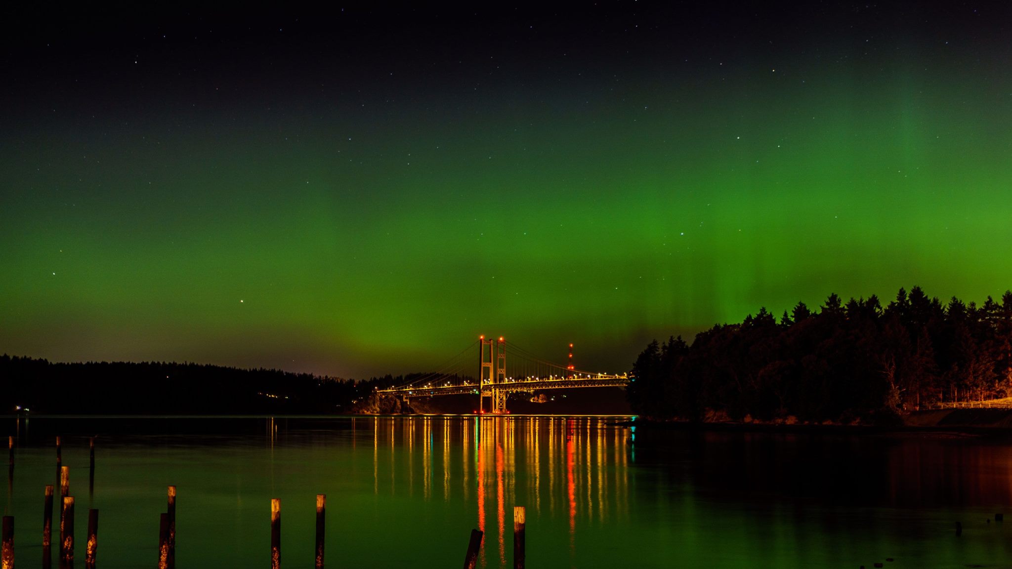 Spectacular Northern Lights light up Washington skies