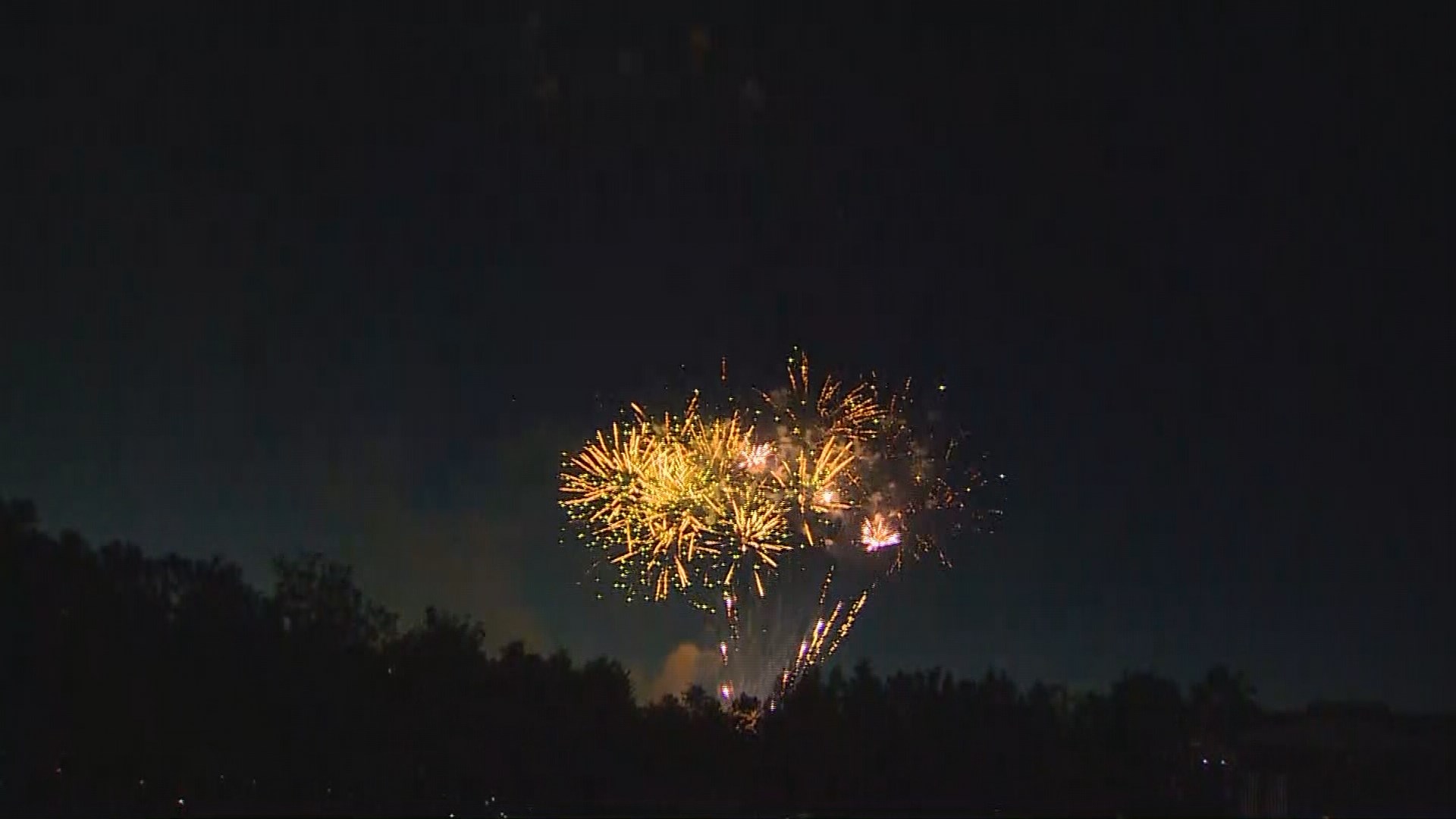 WATCH Fireworks at Gas Works Park and in Bellevue