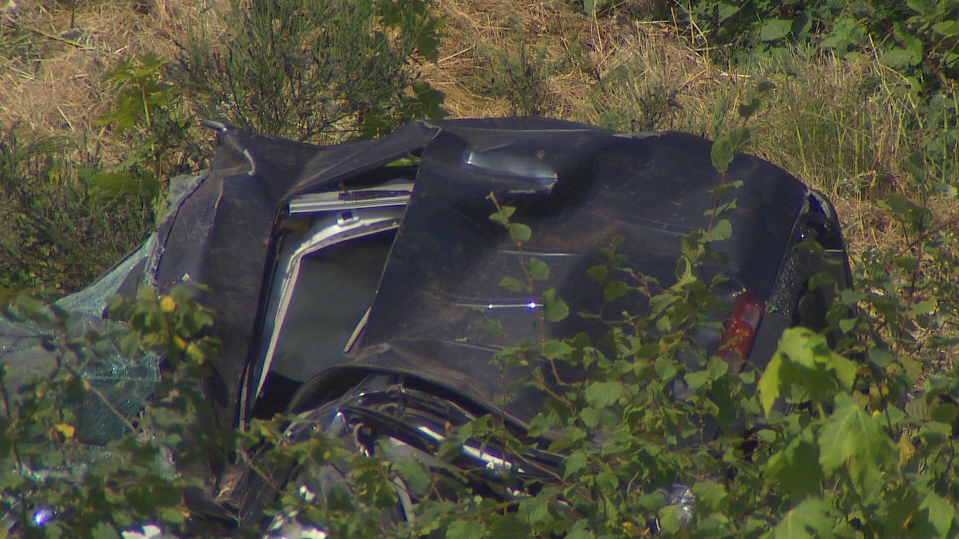 Man, Child Dead After Car Goes Over Embankment In Renton | King5.com