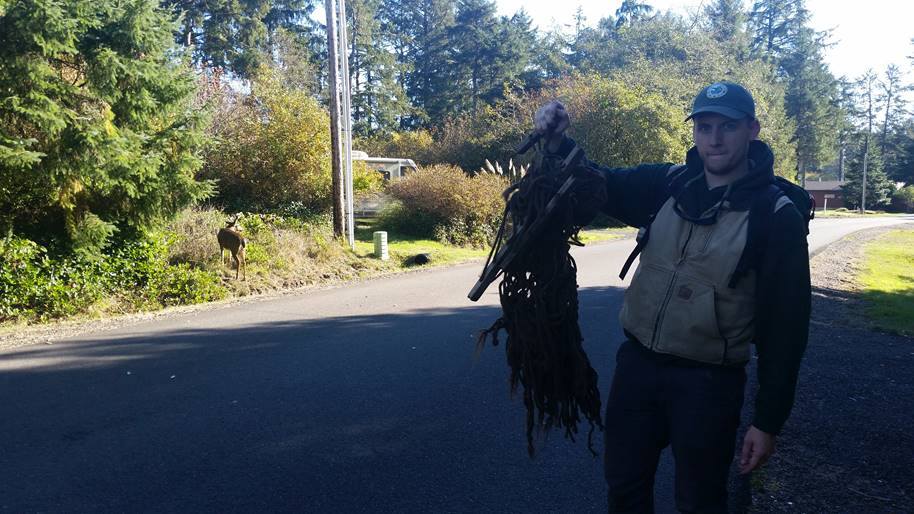 Oh, deer! Buck tangled in hammock freed by biologists | king5.com