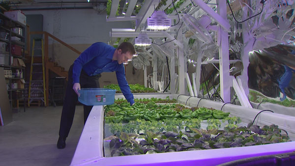 Millionair Club creates hydroponic farm at Seattle shelter 