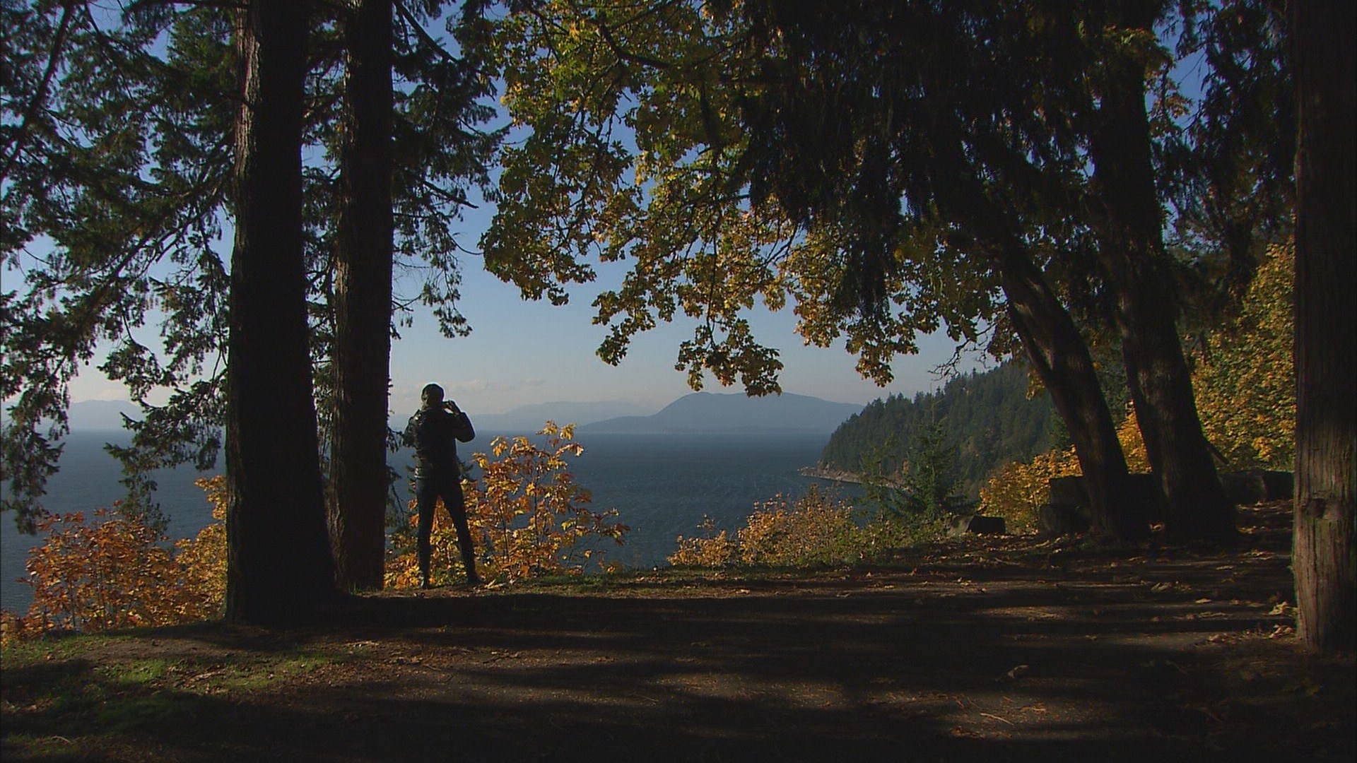 Autumn is the season to explore Chuckanut Drive | king5.com