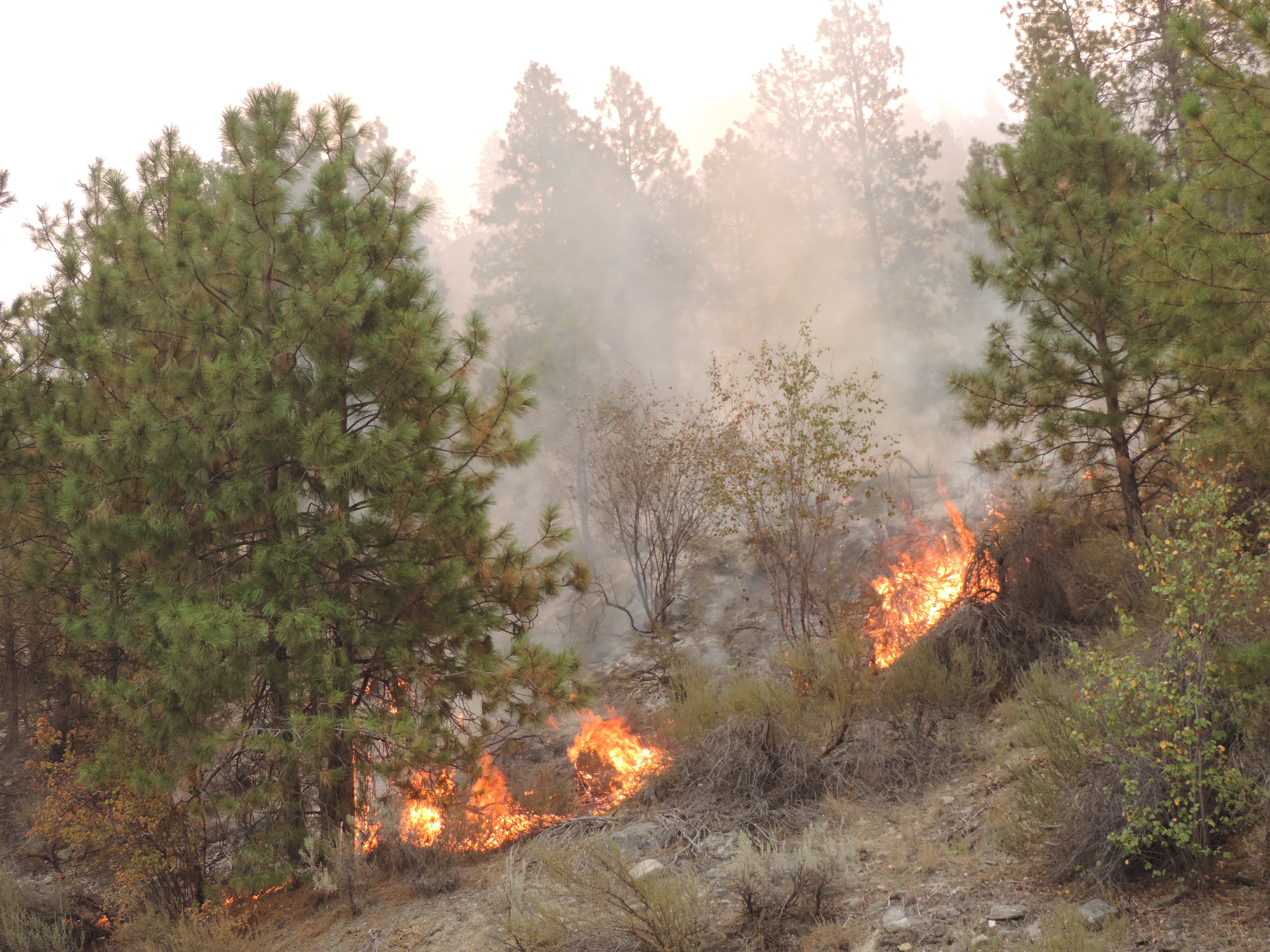 3 firefighters killed in wildfires near Twisp | king5.com