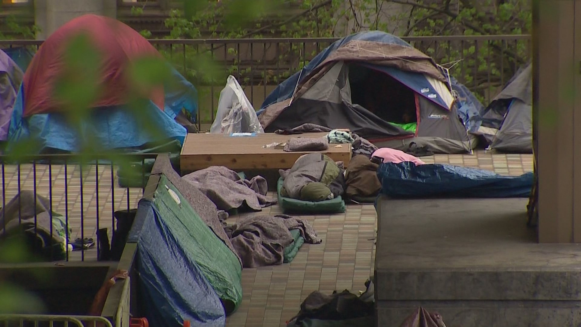 Panel offers different perspectives on Seattle homelessness | king5.com