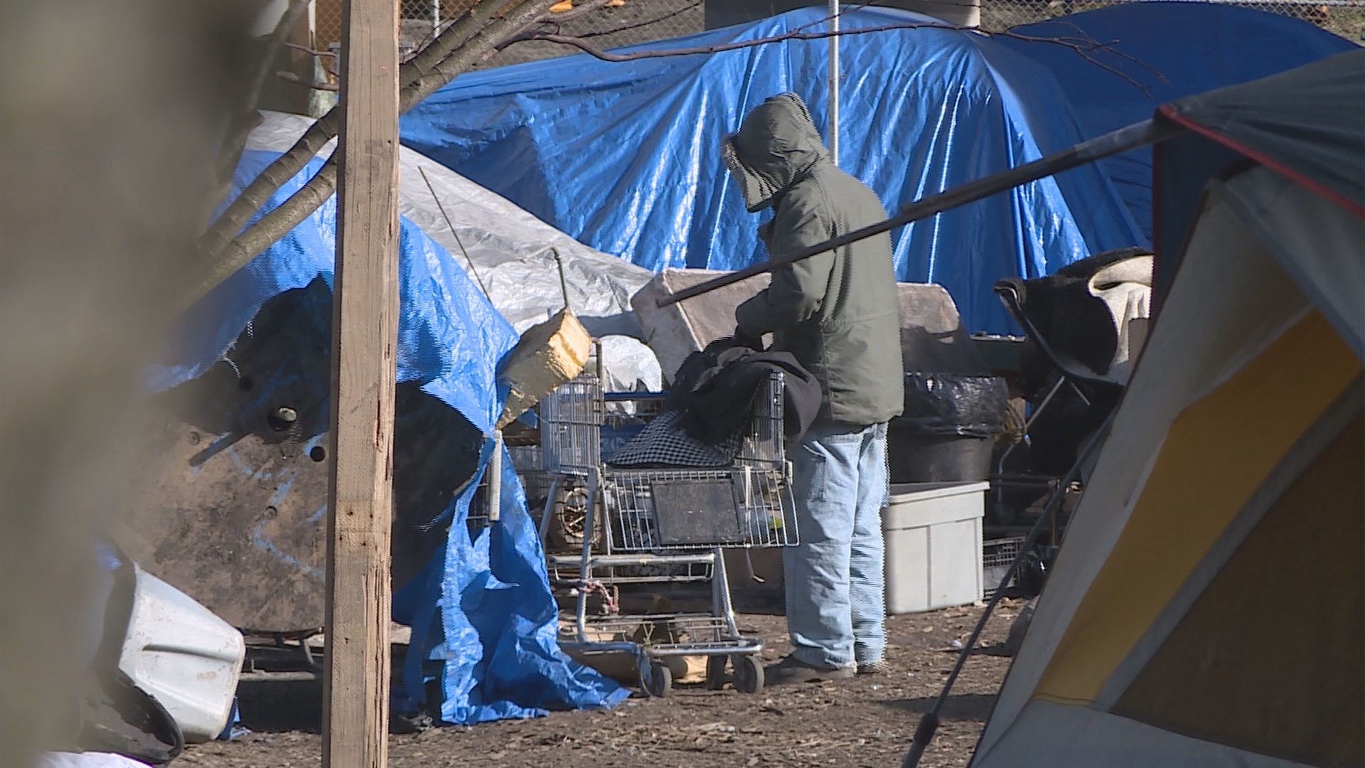 Seattle crews clear out controversial homeless camp | KING5.com