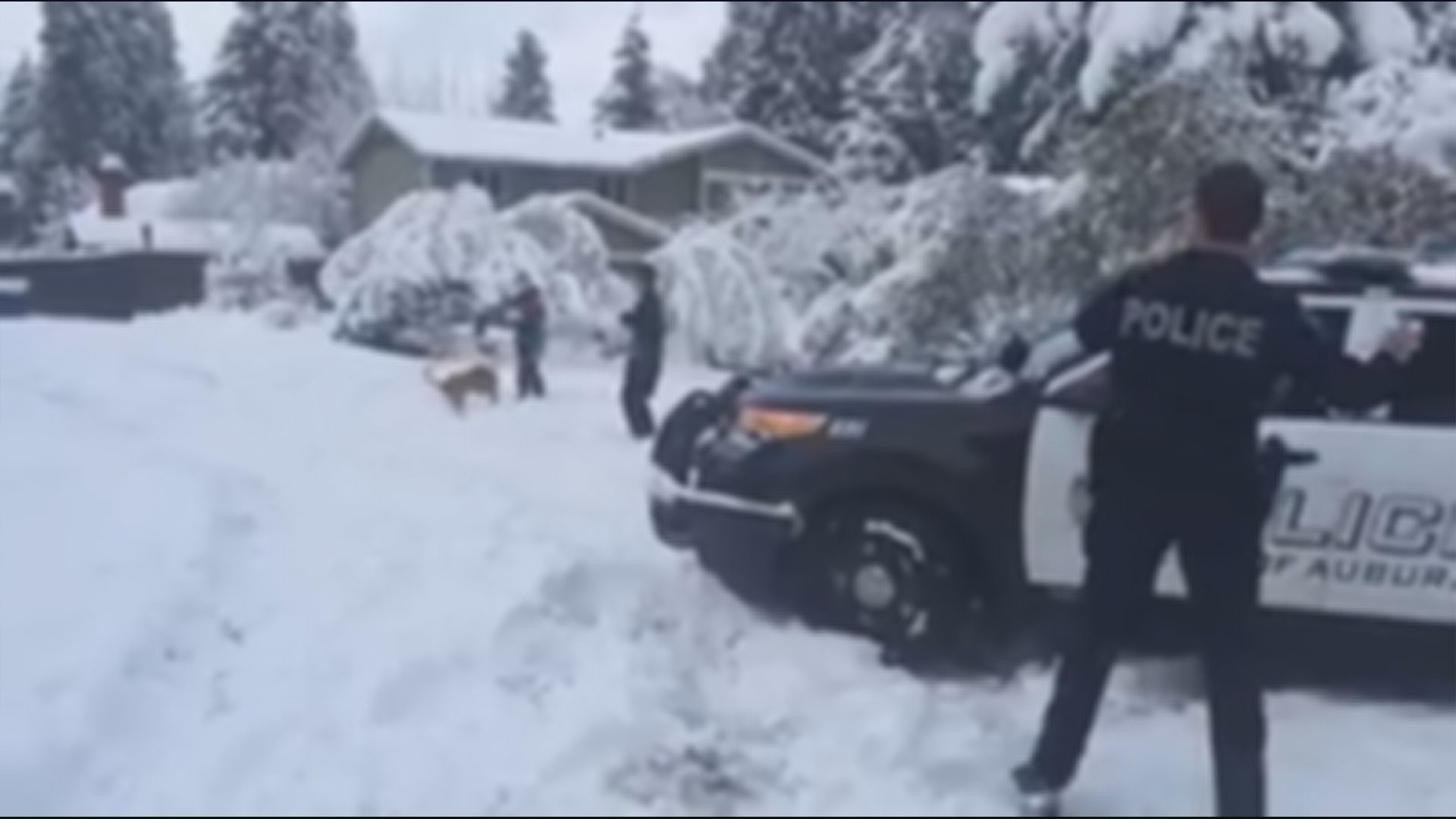 Auburn officer fends off snowball attack | king5.com
