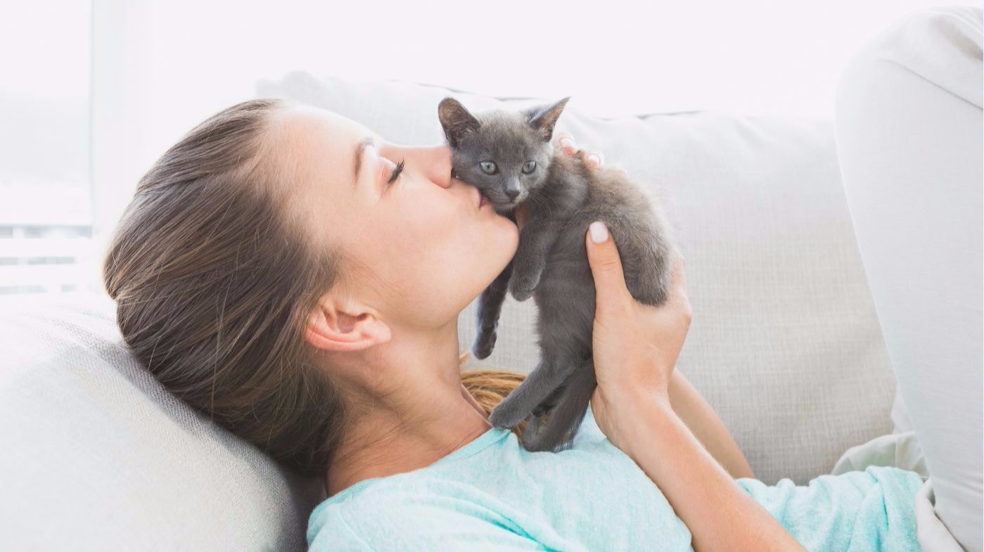 Good news, cats don't cause mental health problems | WHAS11.com