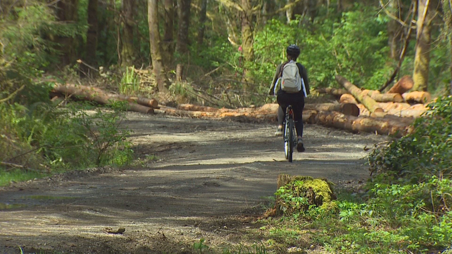 Community fights to save beloved forest in Port Gamble | king5.com